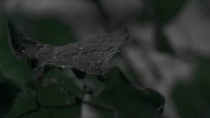 A still from the “Good Woman” music video by Olds Cool.