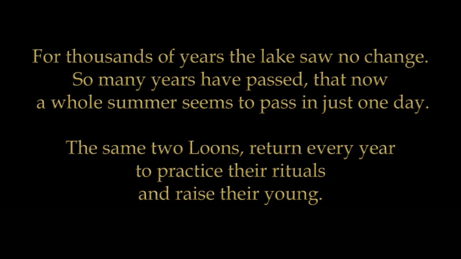 Gold text on black: For thousands of years the lake saw no change. So many years have passed, that now a whole summer seems to pass in just one day. The same two loons return every year to practice their rituals and raise their young.